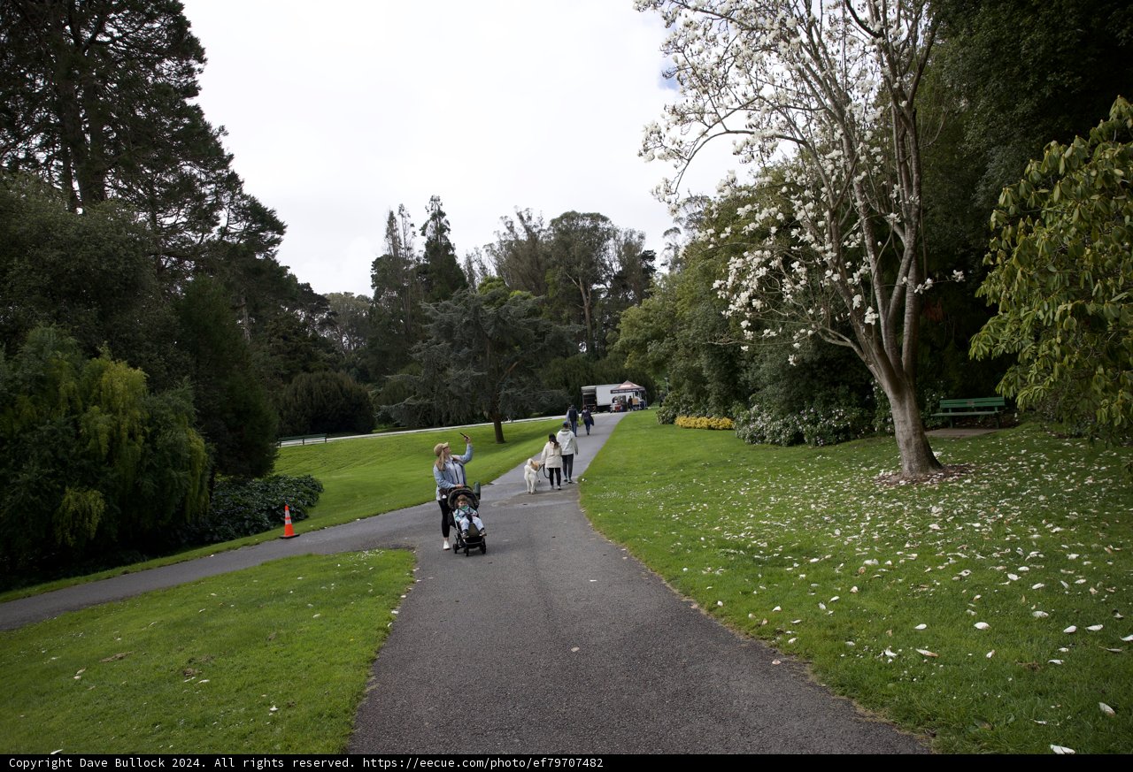 Harmony of Man and Nature: A Day in the Park