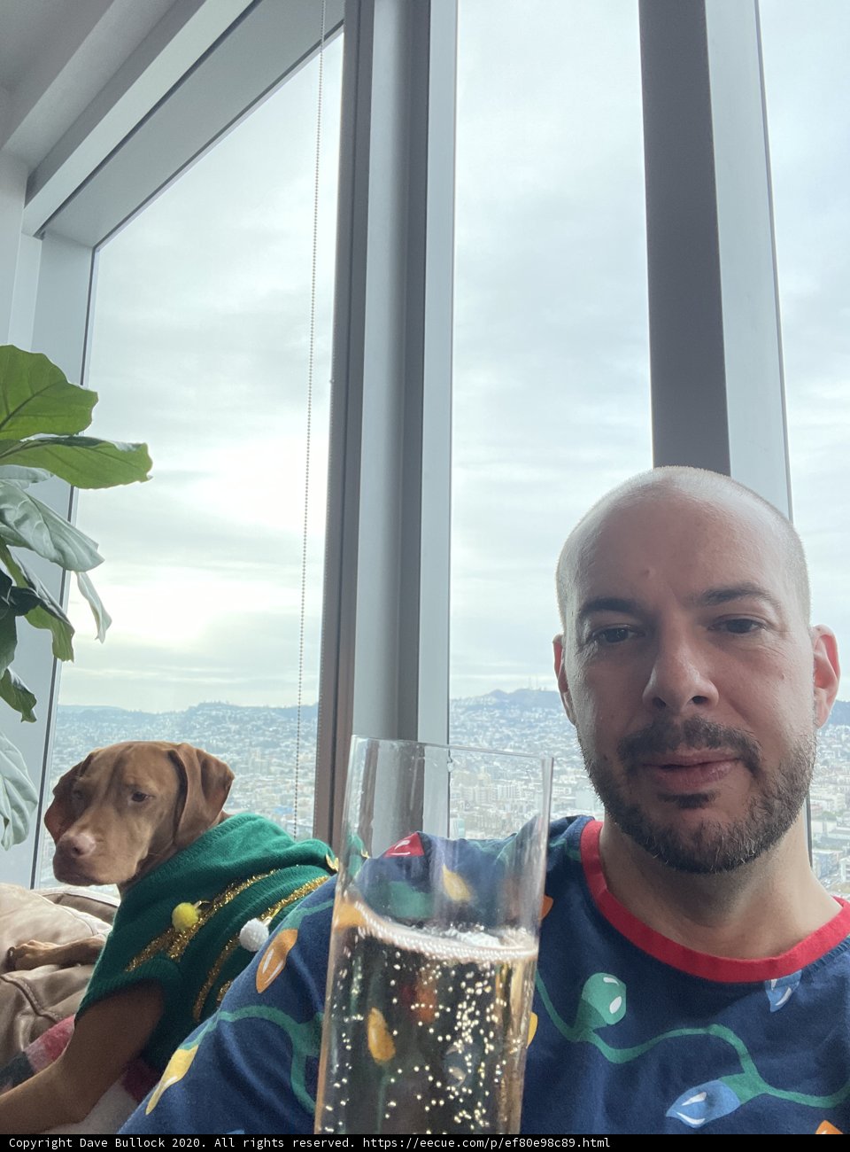 Man and Dog Enjoying a Beer by the Window