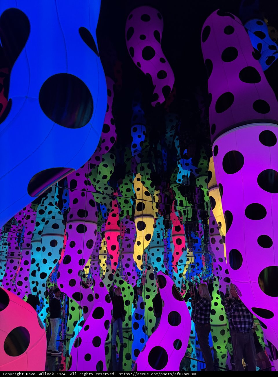 Luminous Polka Dot Reverie at SF MoMA
