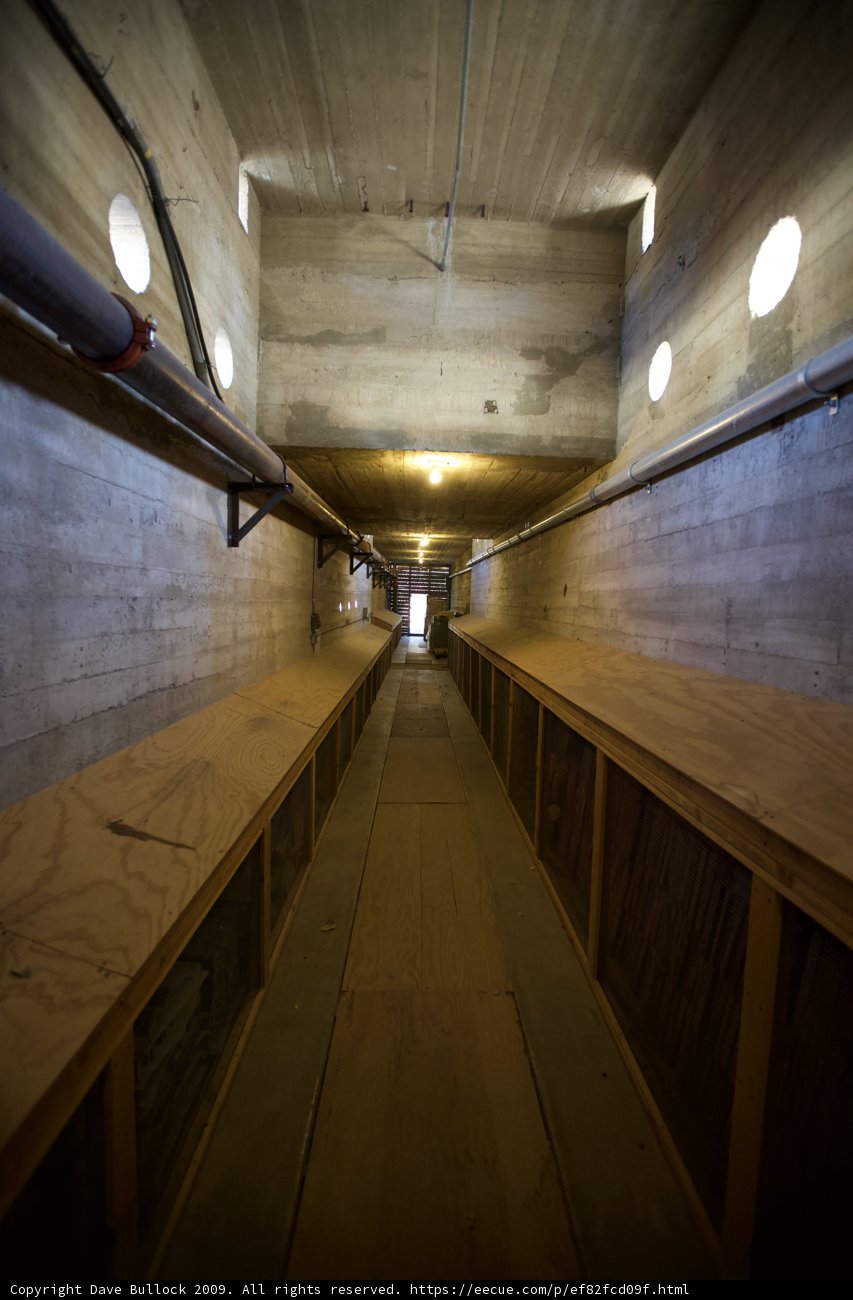 Wooden Tunnel