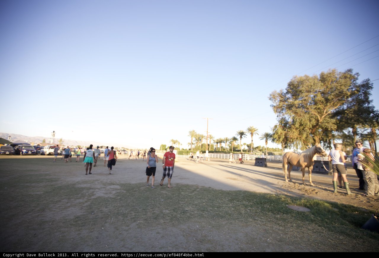 Walking with a Horse in the Field
