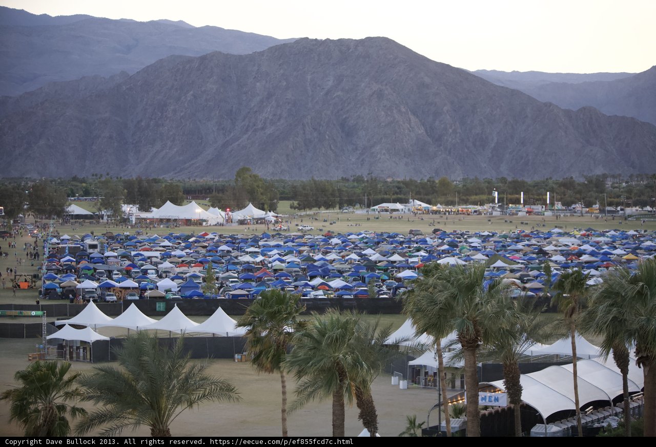 A Tropical Oasis at Coachella