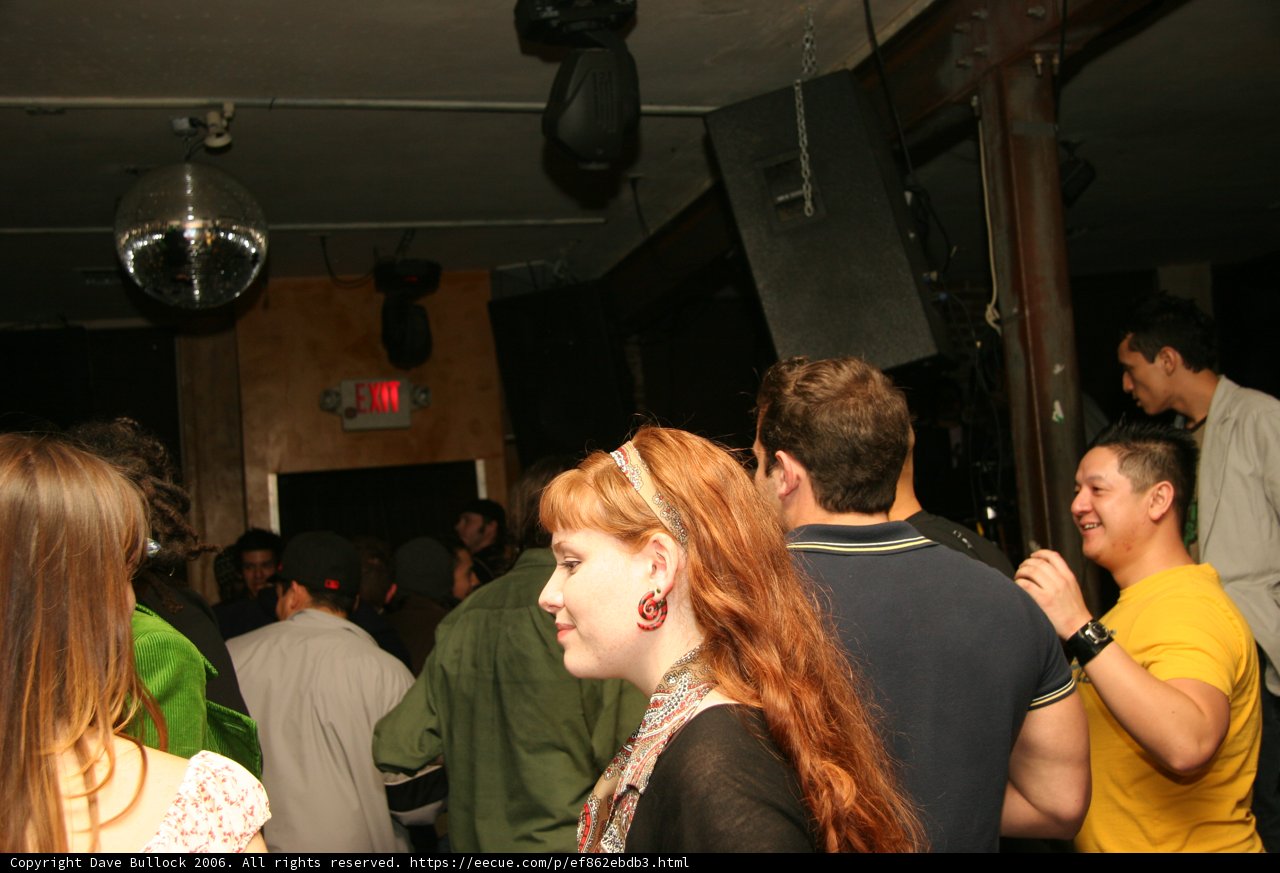 Partygoers groove to the DJ's beats