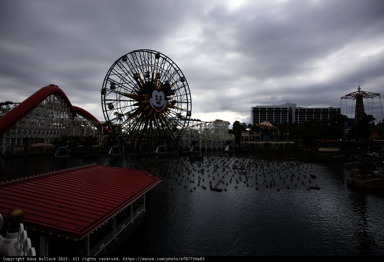 Magical Moments at Disneyland 2023