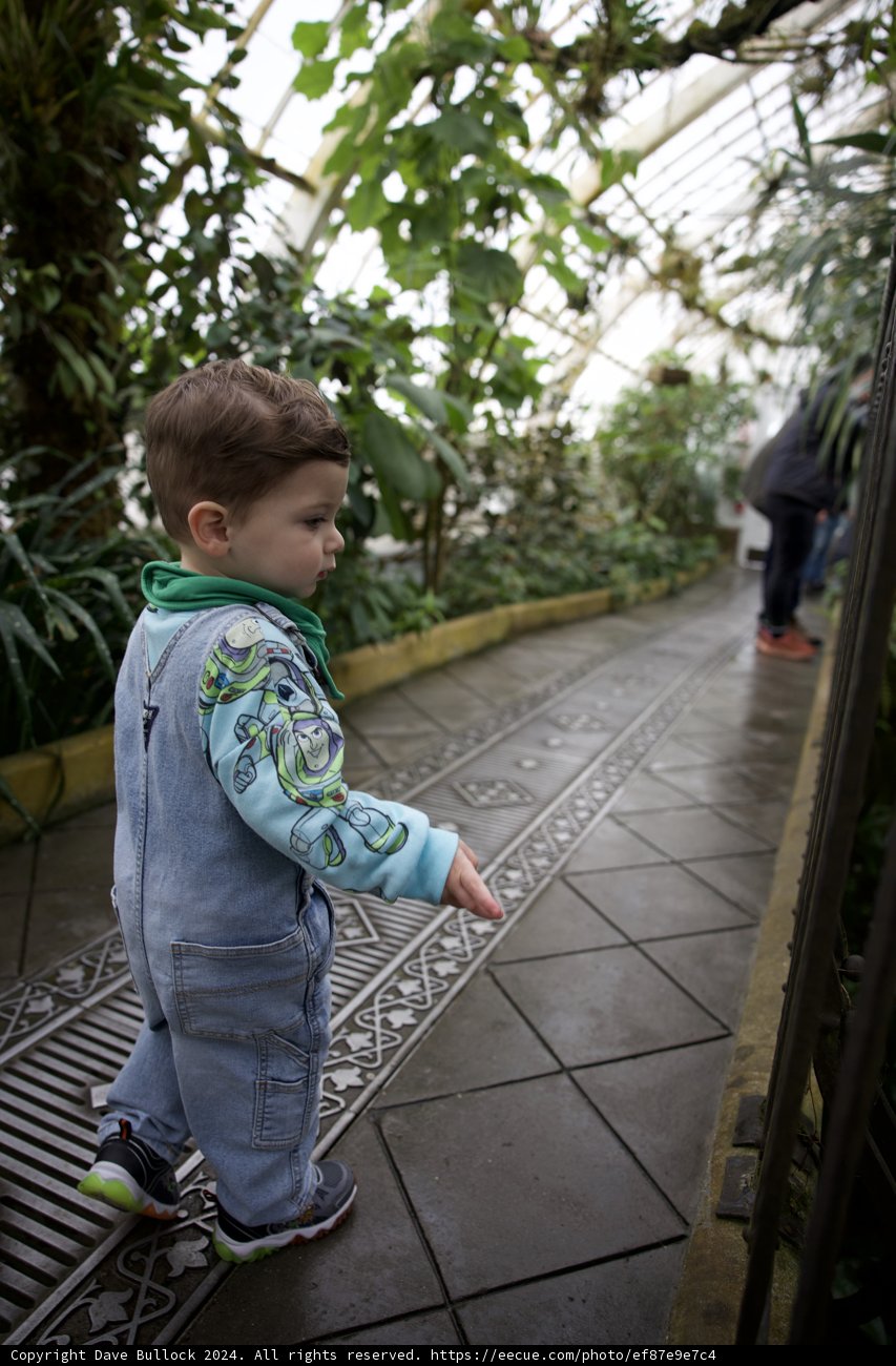 A Stride into Nature's Classroom