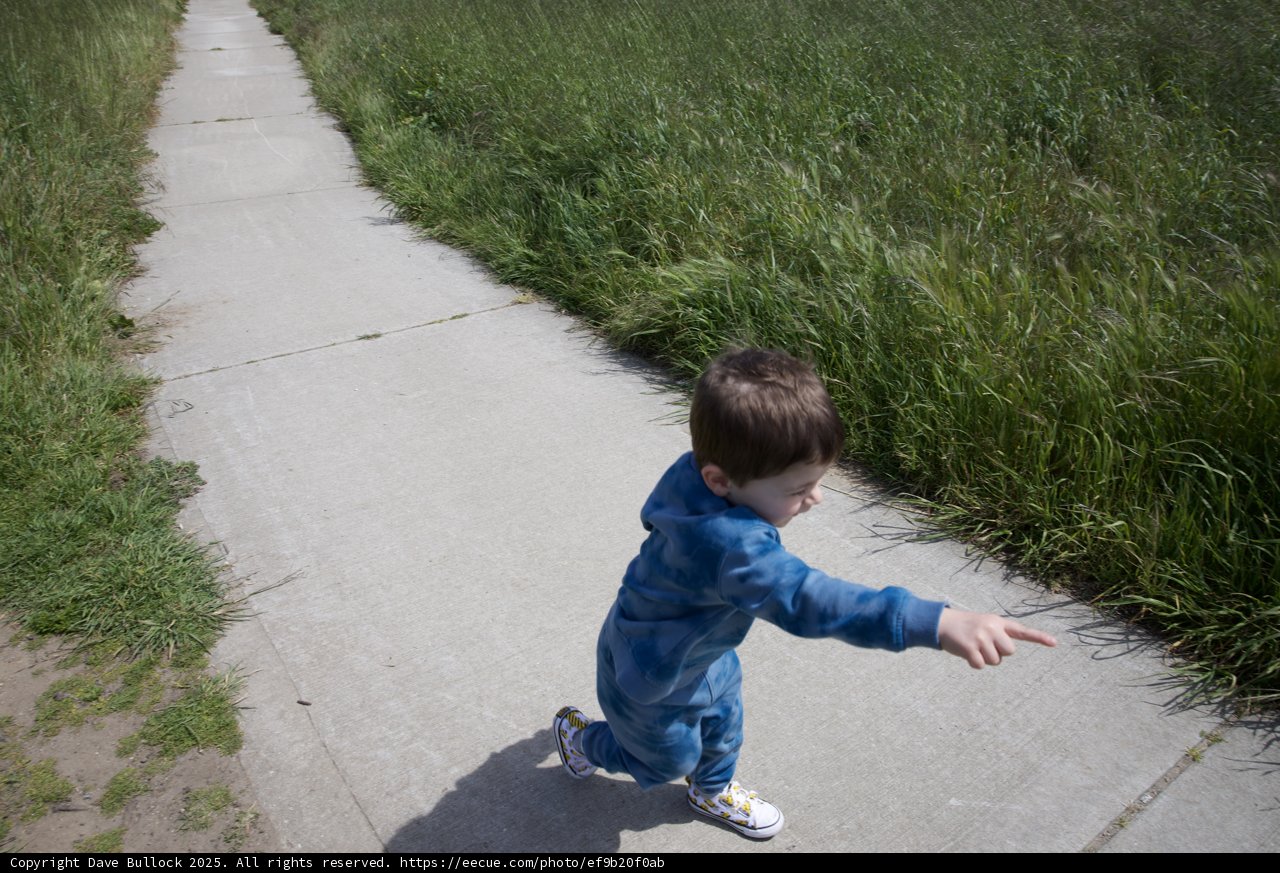 Exploring New Paths