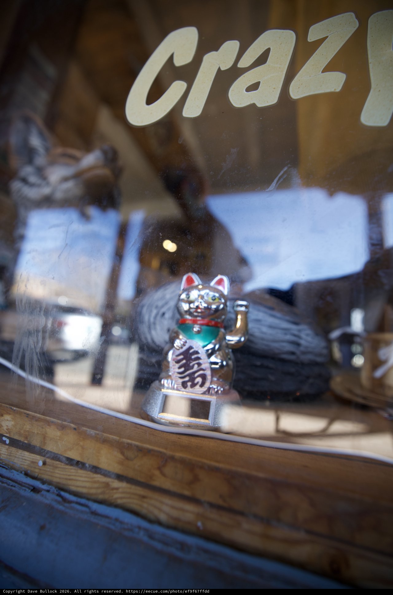 Maneki-neko Lucky Cat in Window Display