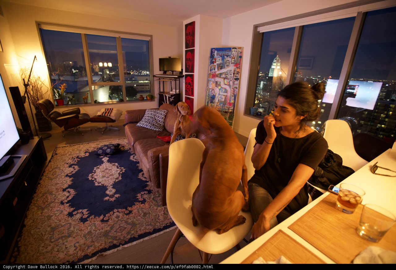 Cozy Living Room with Furry Companion