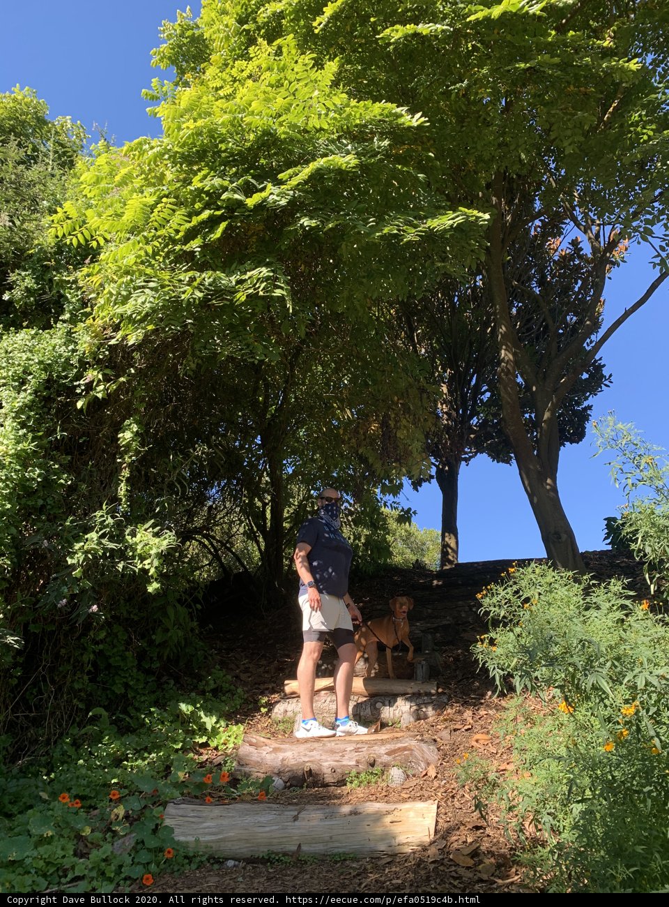 Man and Dog Enjoying the Outdoors
