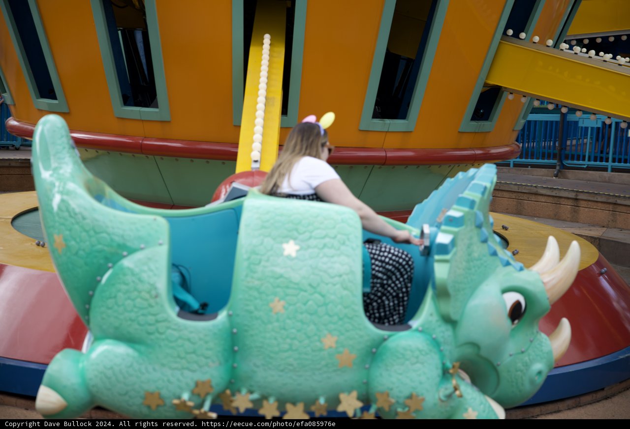 Magical Safari Adventure at Disneyworld Animal Kingdom