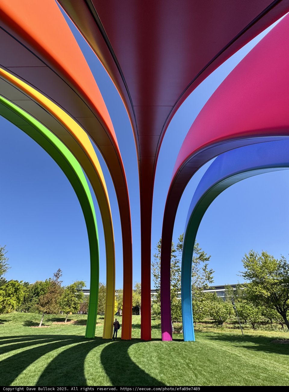 Vibrant Reflections at Apple Park