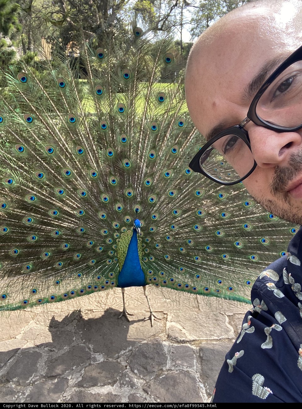 Selfie with a Feathered Friend
