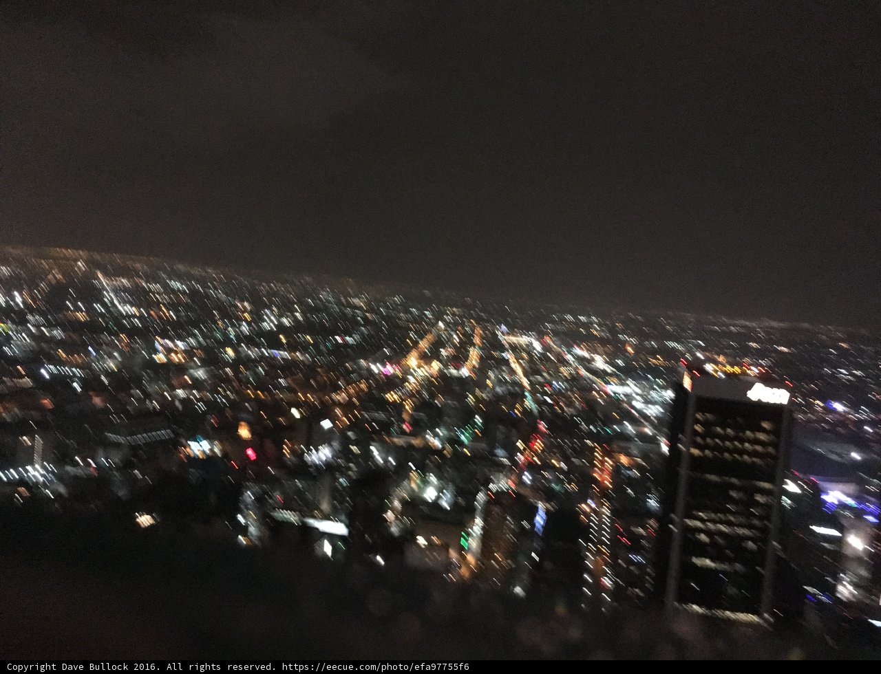 Overlooking the Urban Jungle