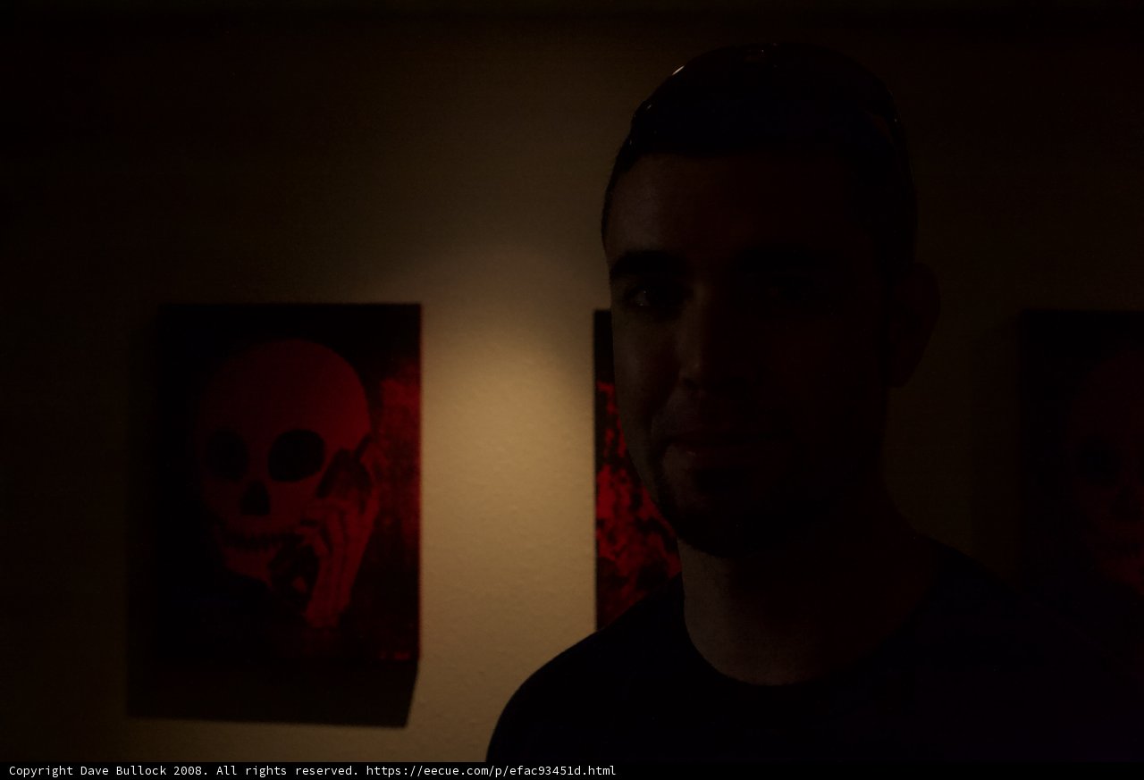 Dan in the Dark