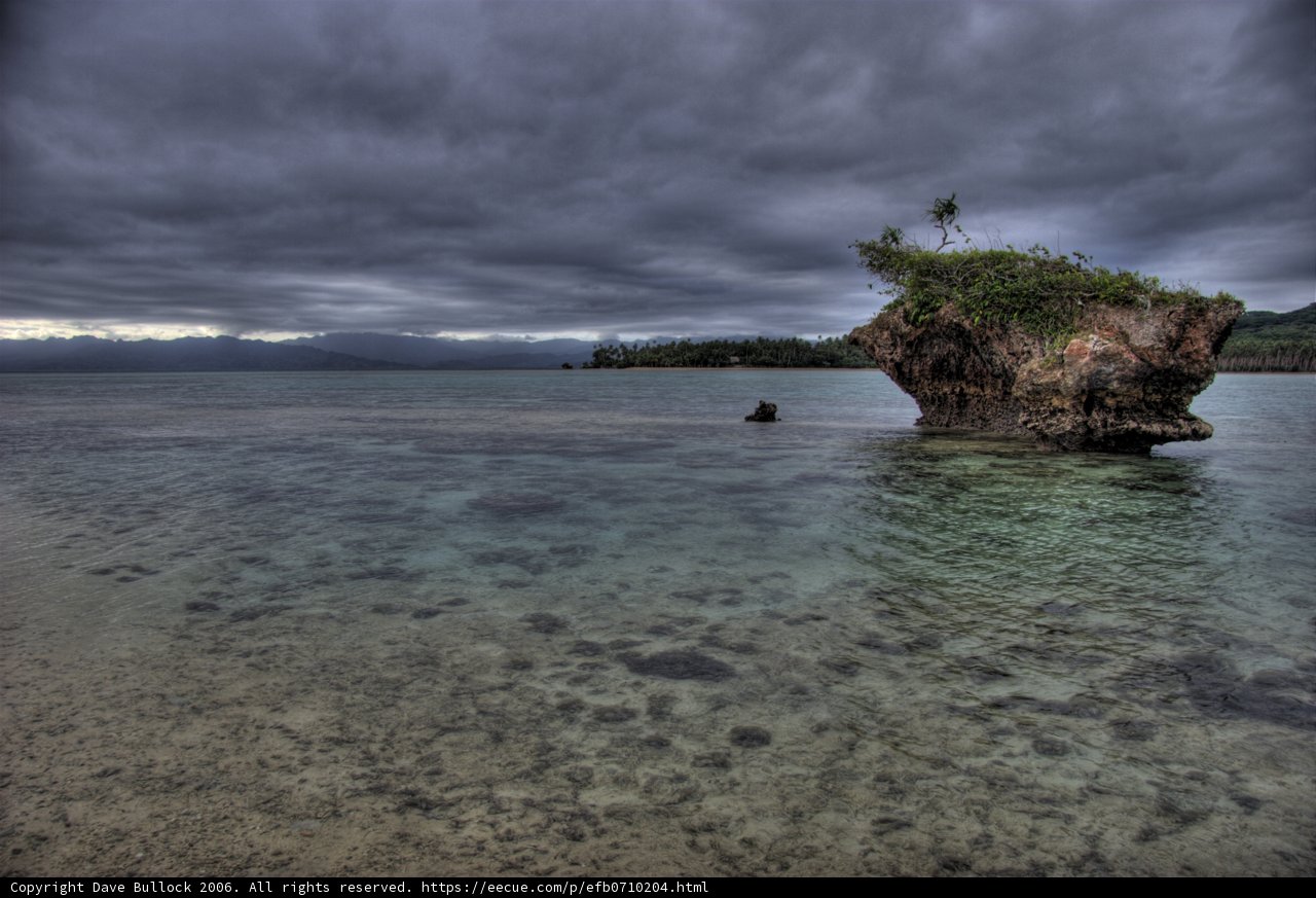 Tree-topped Cliff in the Ocean