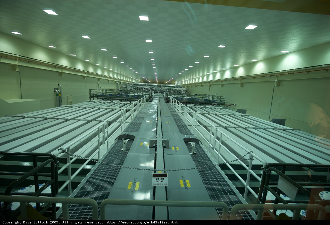 The Endless Corridor