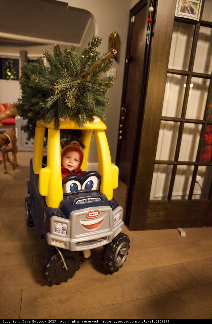 Wesley’s Christmas Truck Adventure 2023
