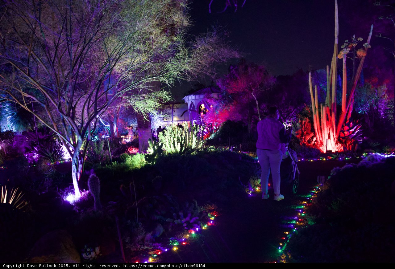Enchanted Evenings at Ruth Bancroft Garden