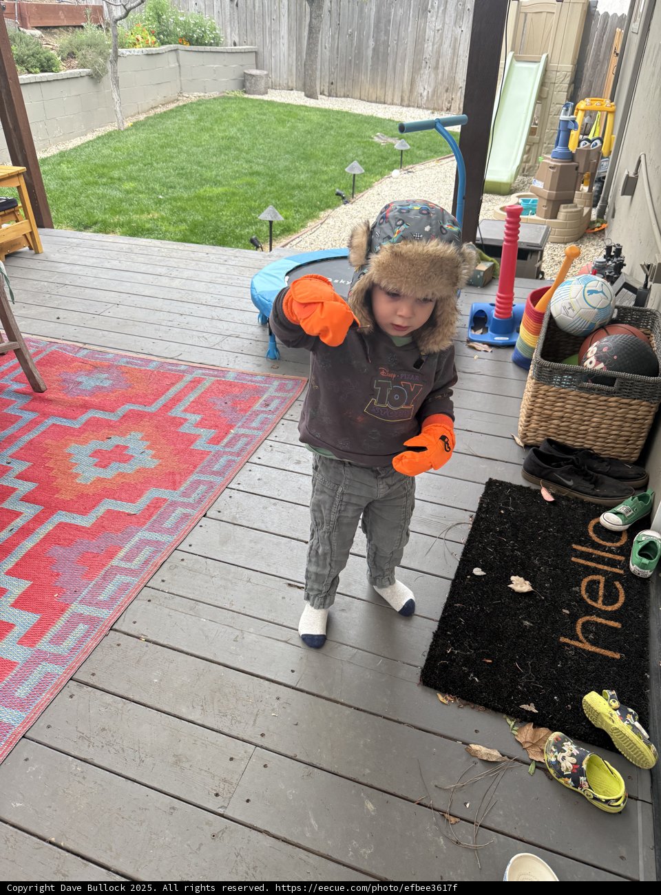 Backyard Playtime Adventure