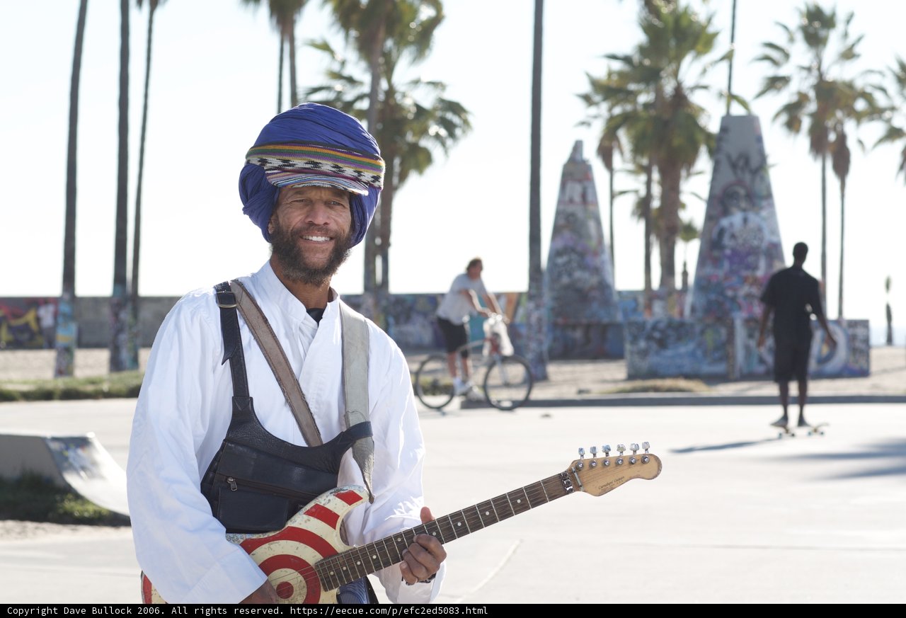 Turbaned Guitarist Under The Palm Tree