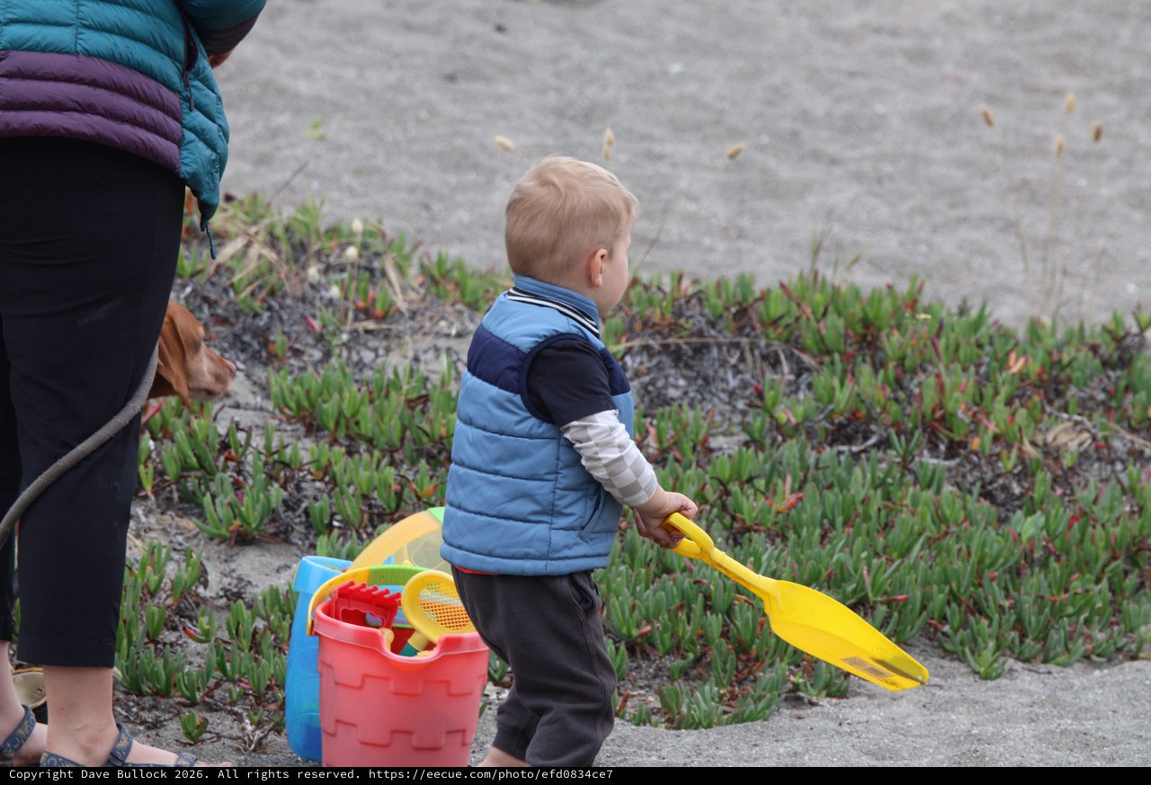 Toddler Ready for Beach Adventure with Yellow Shovel