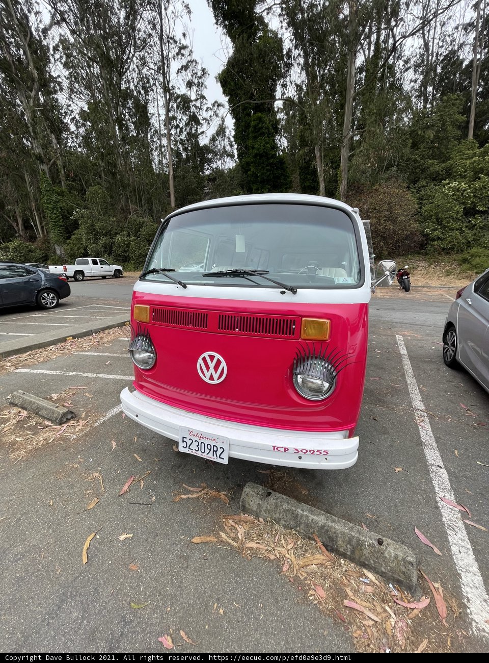 Pink VW Bus in San Francisco