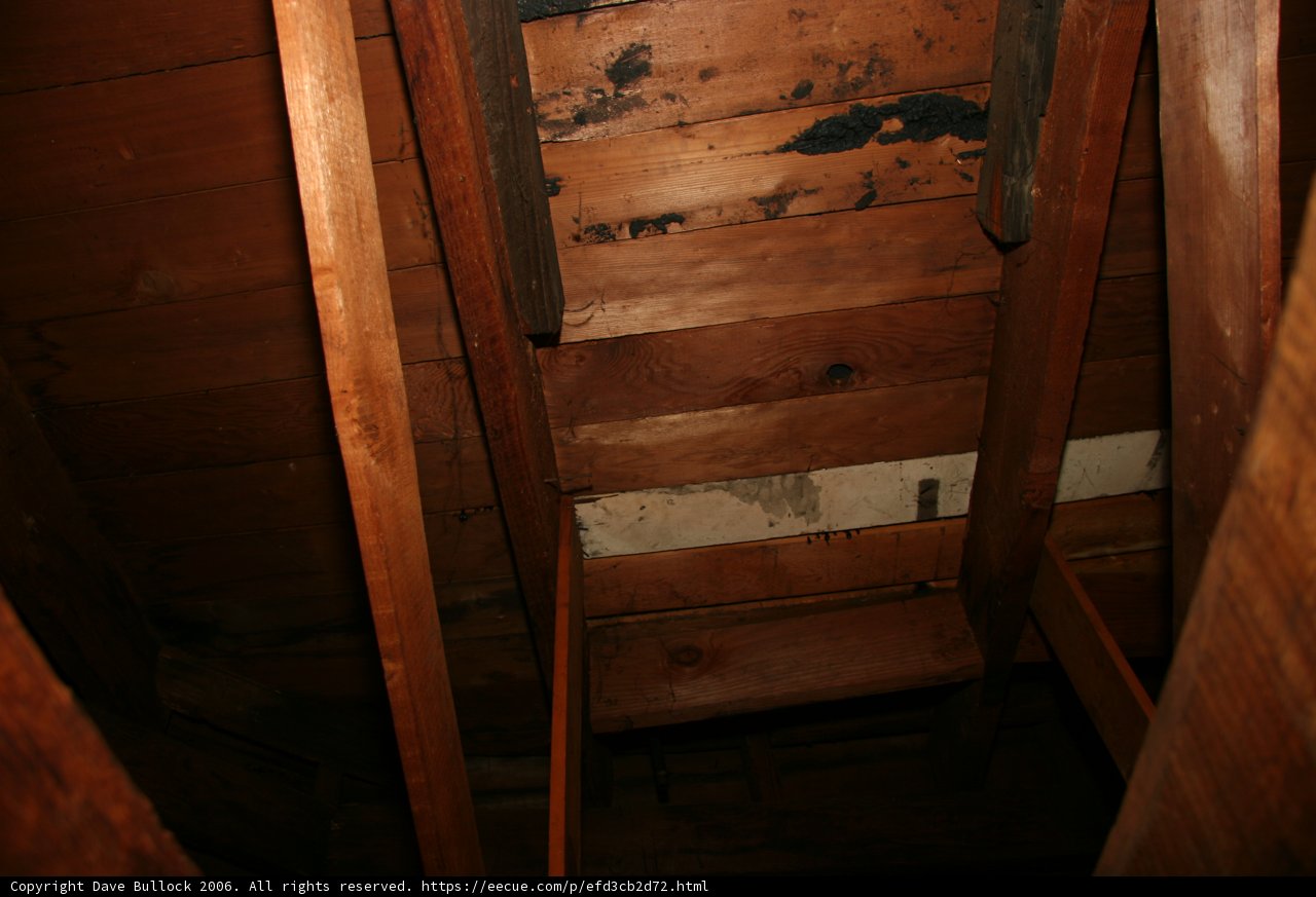 A Peek into the Attic