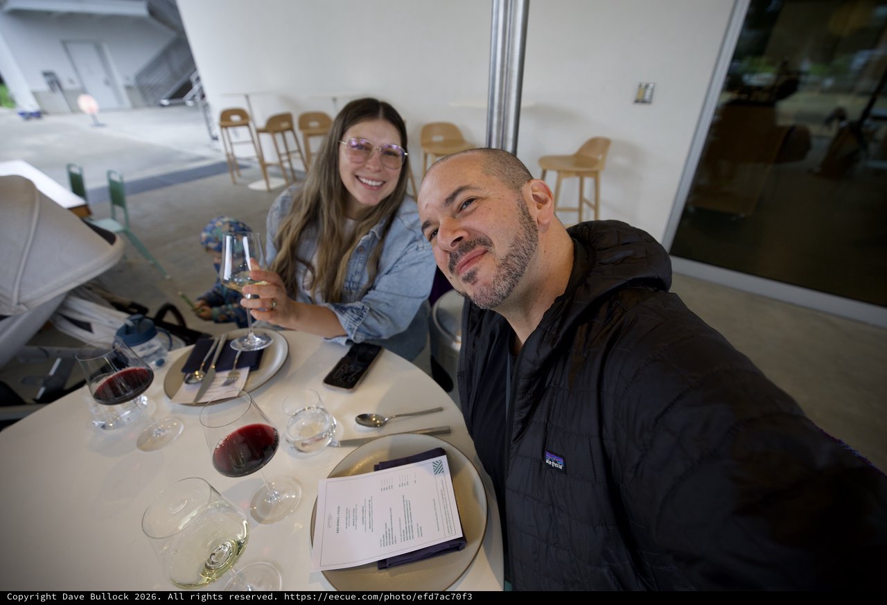 Couple Enjoying Wine Tasting at Modern Restaurant
