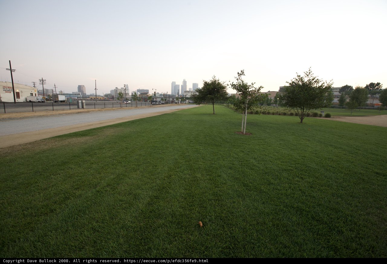 Fighting Fire: A Hydrant in the Grass