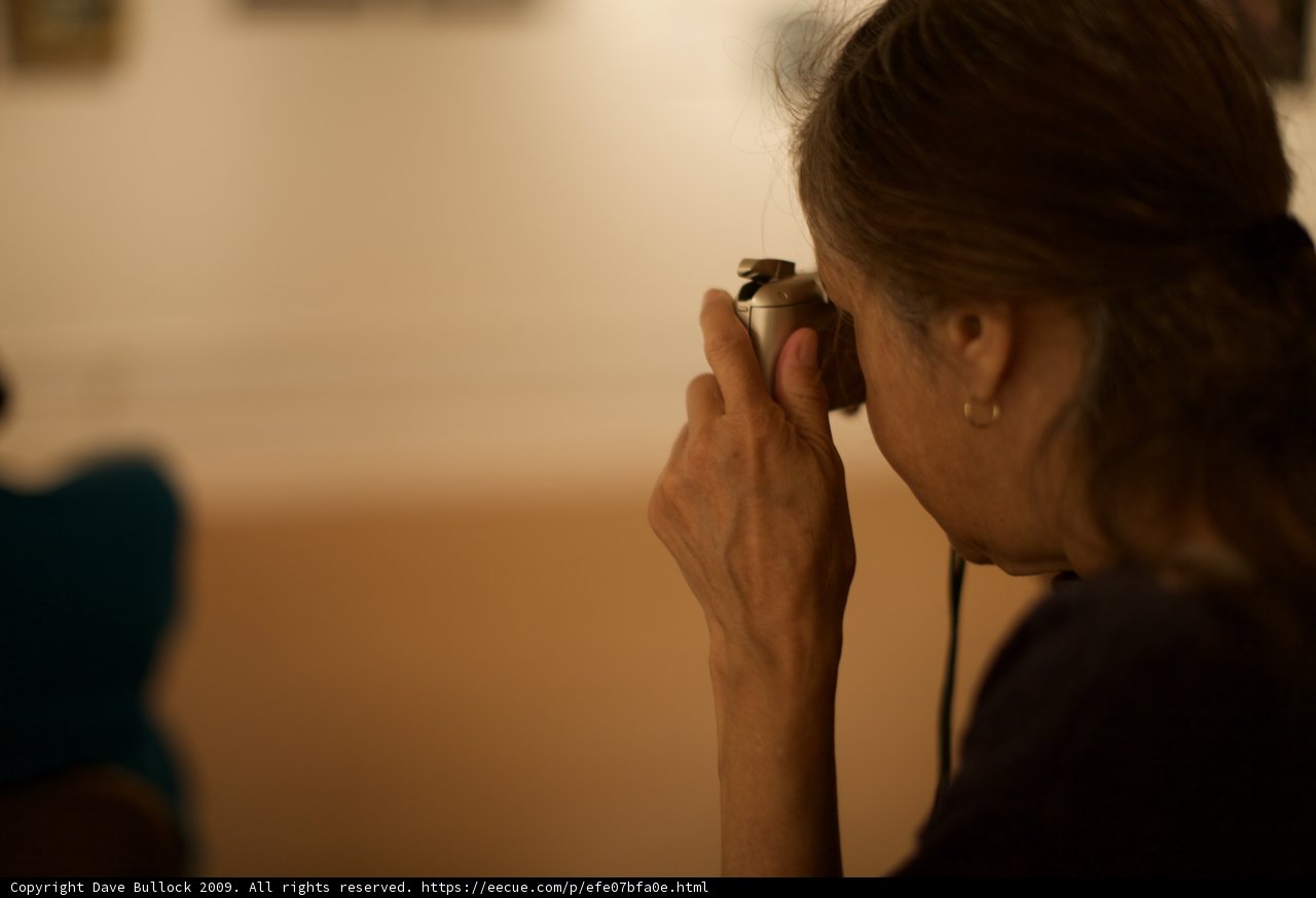 Capturing Memories