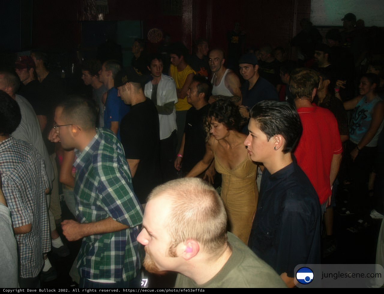 Man in the Middle Caption: The center of attention at the lively night club party.