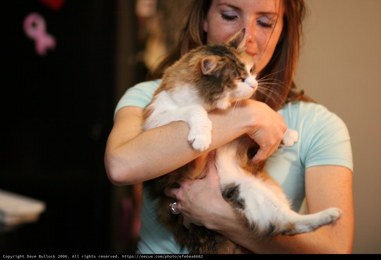 Woman Tenderly Cradling Two Fluffy Kittens Indoors