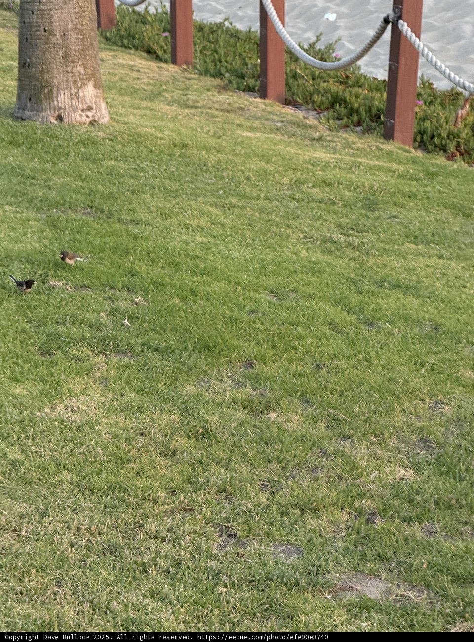 A Serene Moment in Oxnard