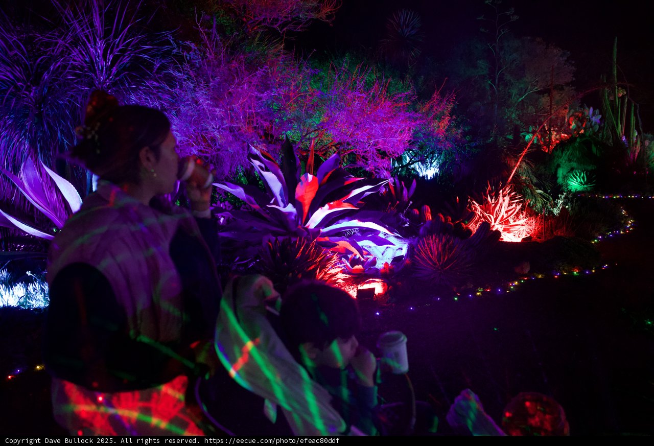 Enchanted Evenings in Neon Glow