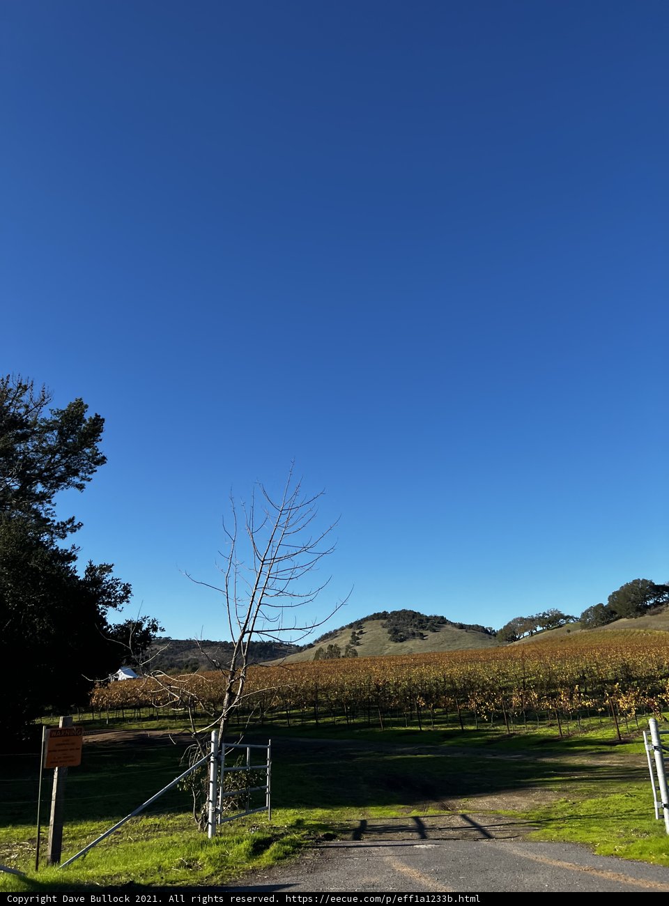 A Serene View of the Countryside