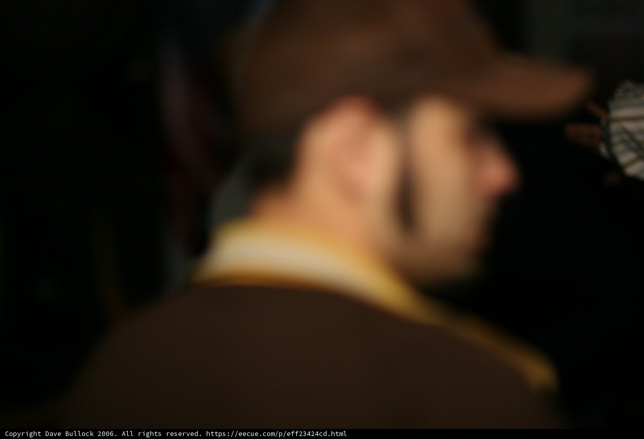 The Man in the Brown Hat