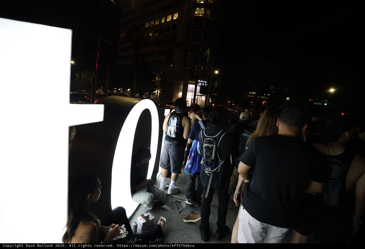 Crowd Gathers Around Glowing Sign at Wobbleland 2026