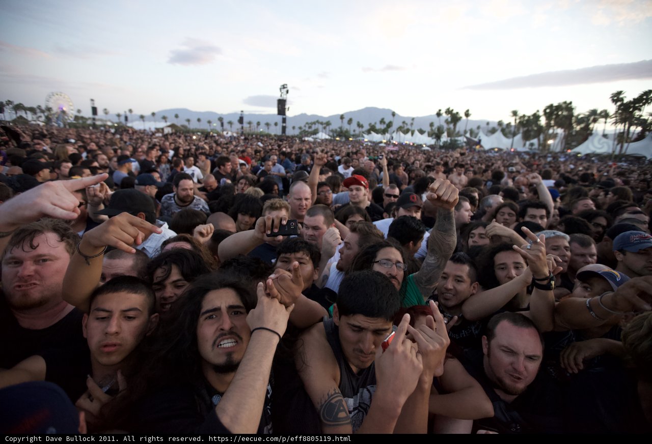 A Sea of Fans