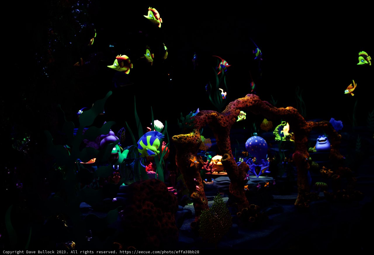 Magical Underwater Adventure at Disneyland