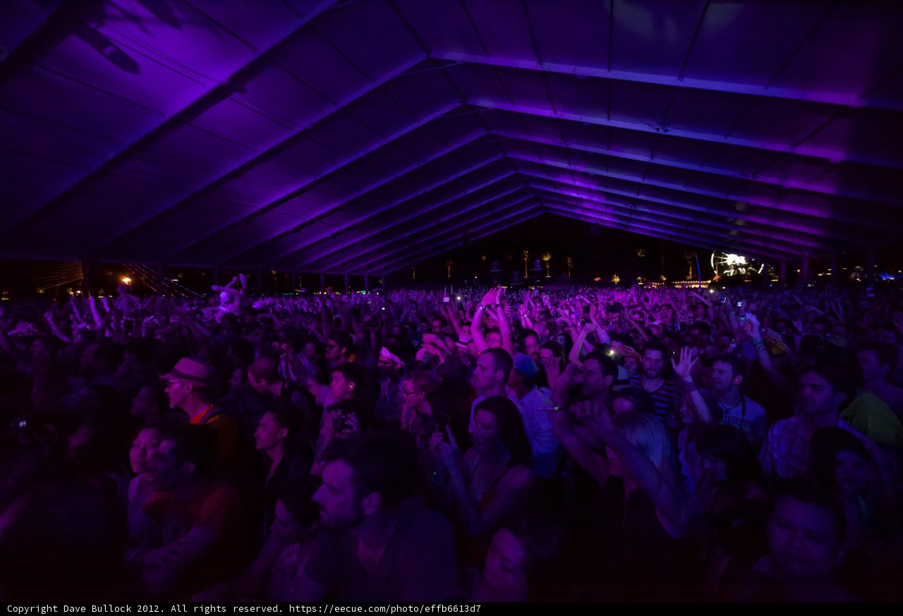 Purple Haze