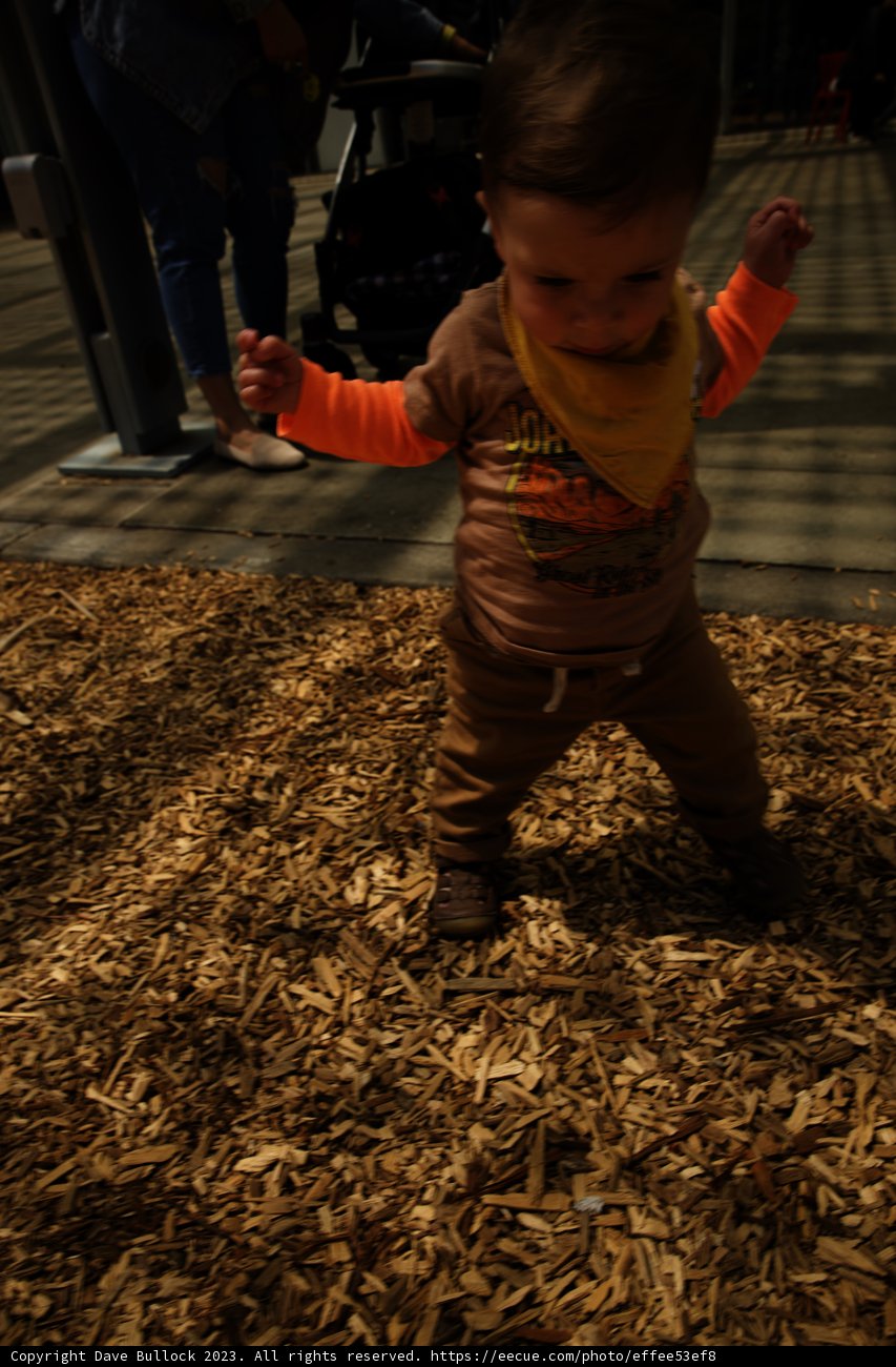 Baby's First Steps in Nature