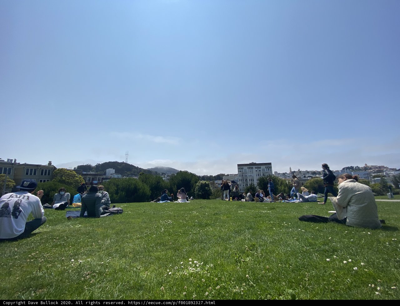 Relaxing in the Park