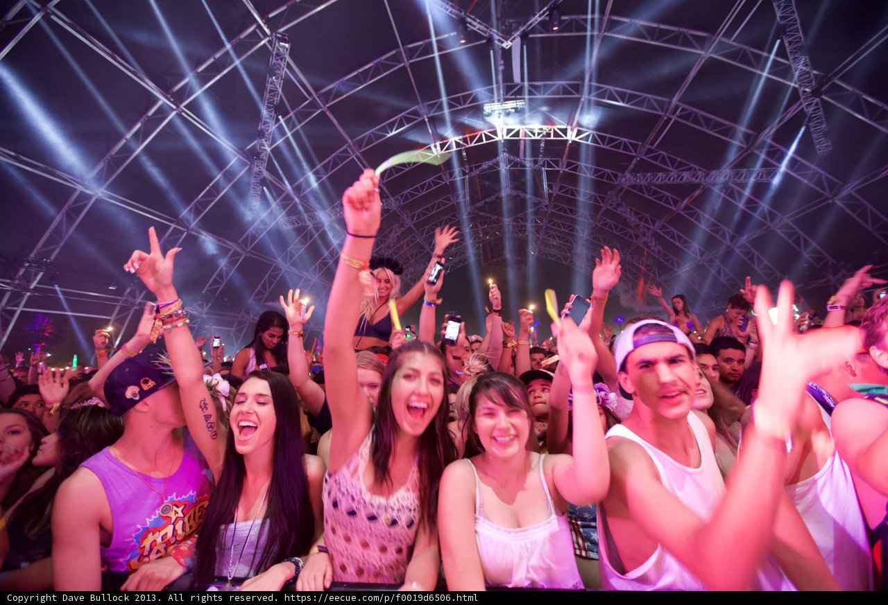 Partygoers Unite at Coachella Music Festival