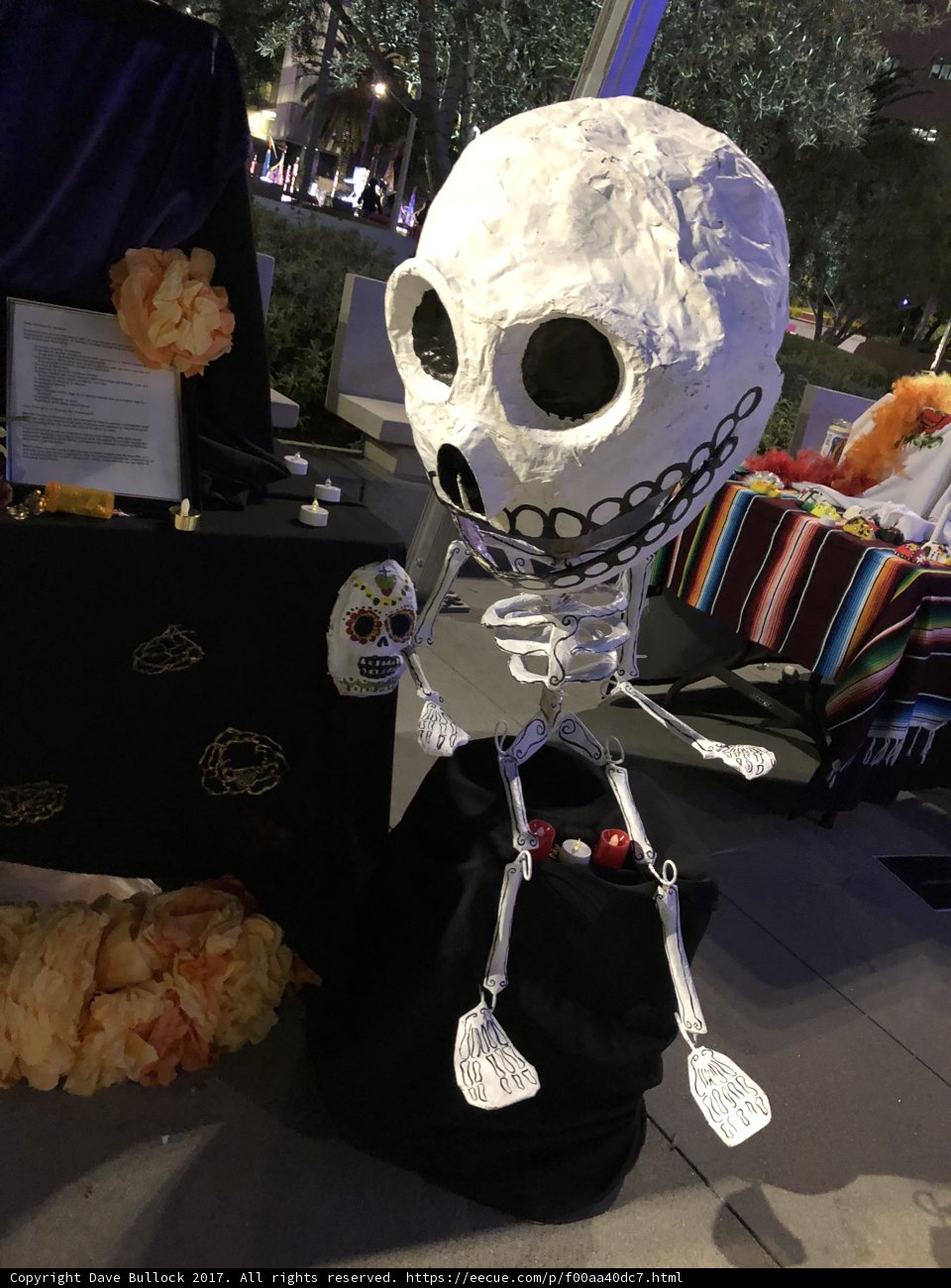 The Skeleton and the Spoons