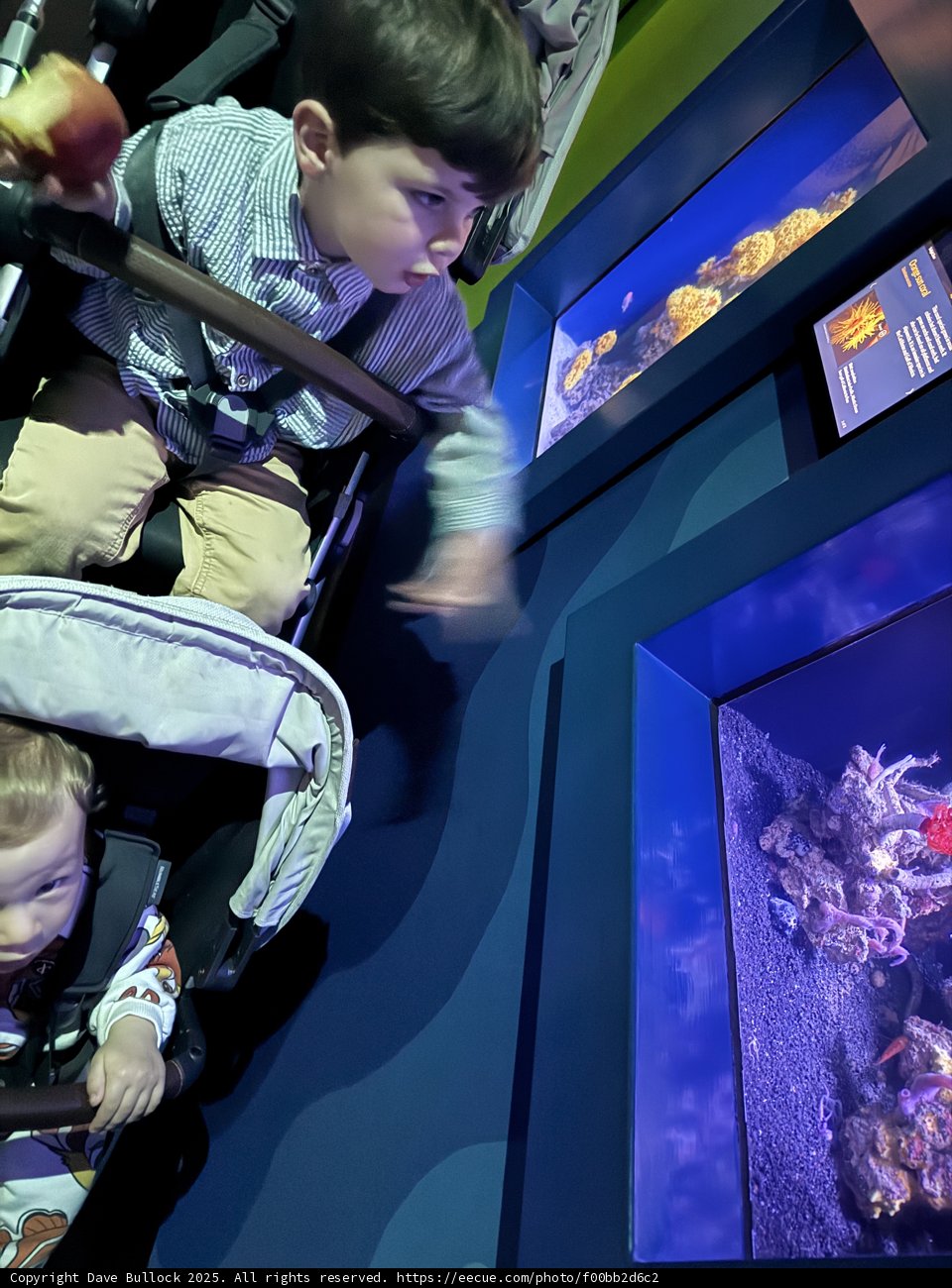 Exploring the Deep