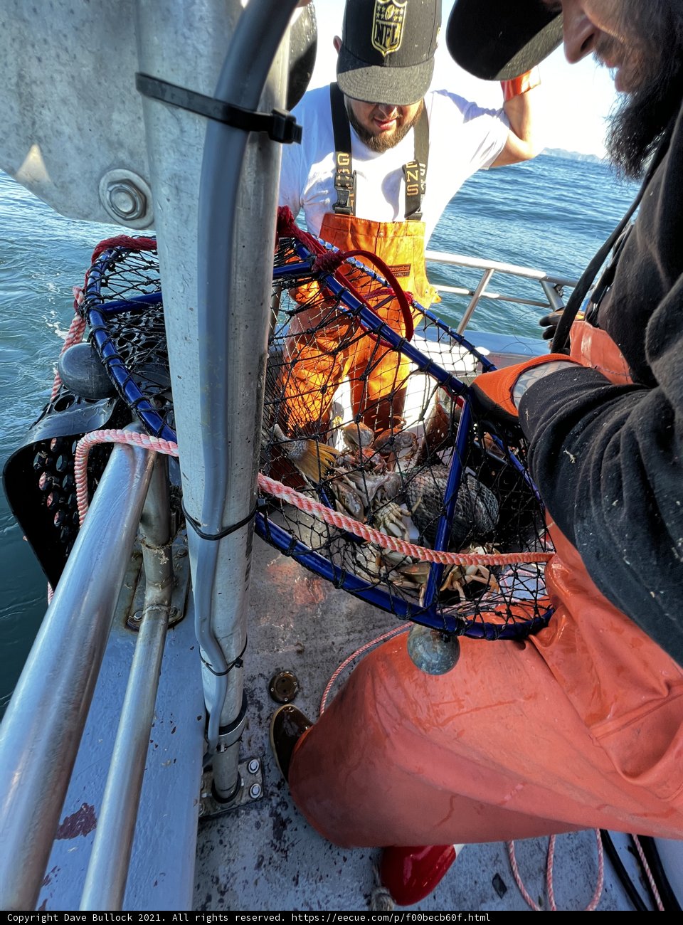 Loading up the Catch of the Day