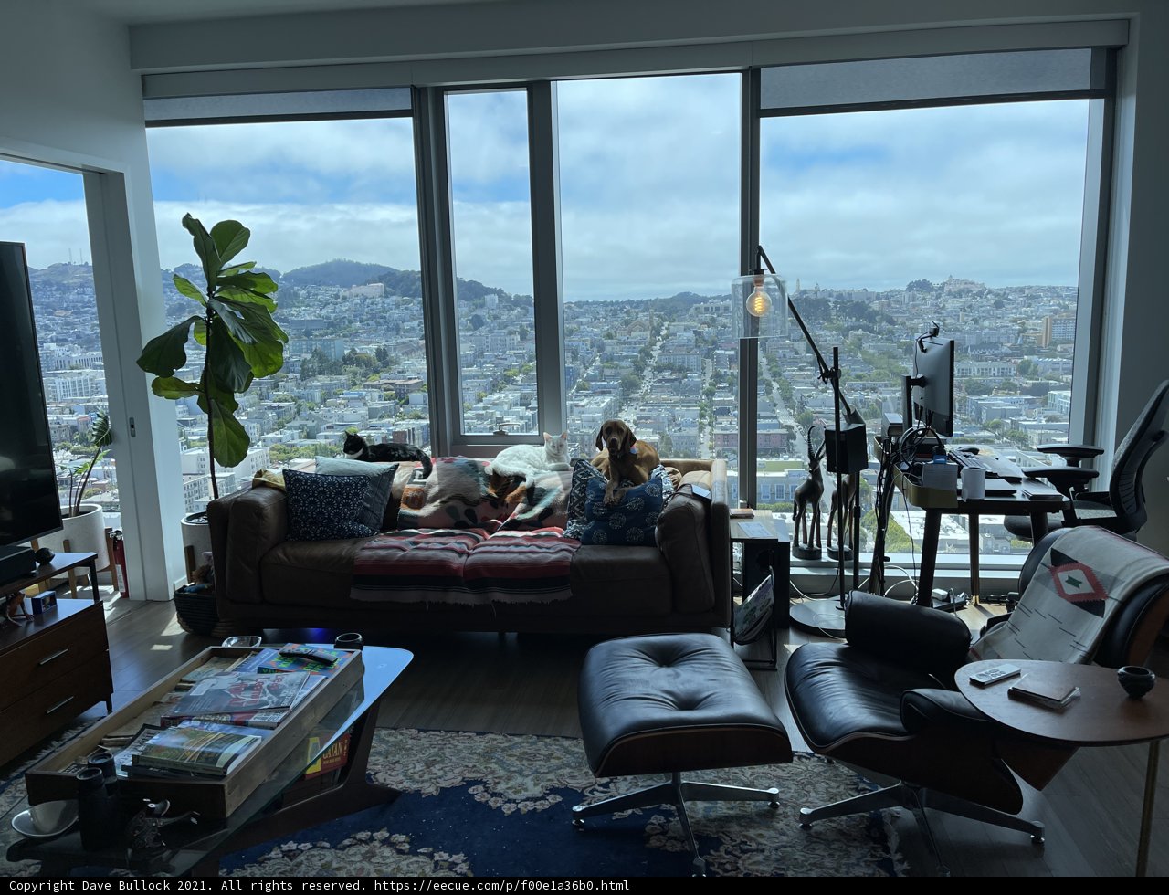 Cozy Living Room with Homey Touches