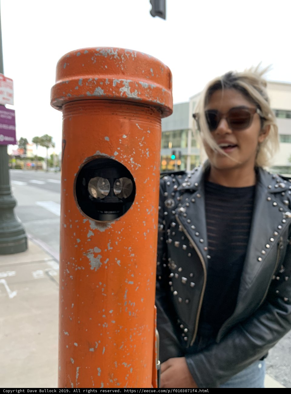 A Stylish Urbanite Explores LA