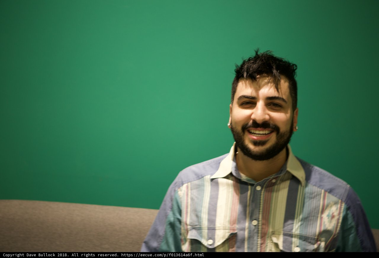 The Happy Bearded Man