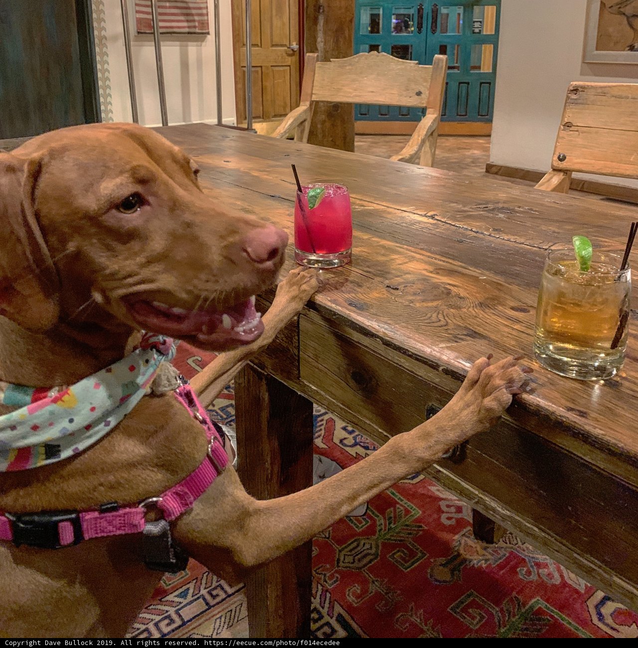 Table for Two (or More)